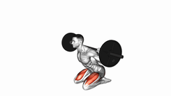 Kneeling Squat